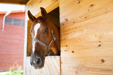 Similar image 8349191