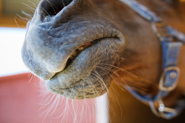 Similar image 8349195