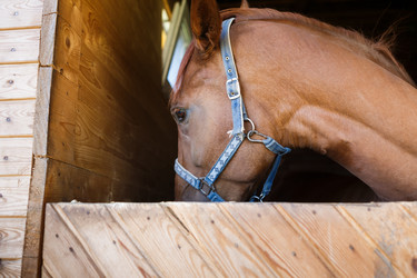 Similar image 8349196