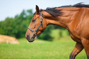 Similar image 8349198