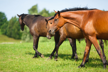 Similar image 8349199