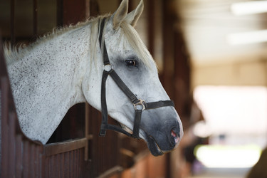 Similar image 8349200