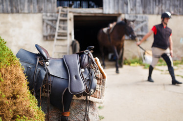 Similar image 8349208