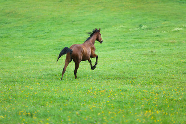 Similar image 8349213