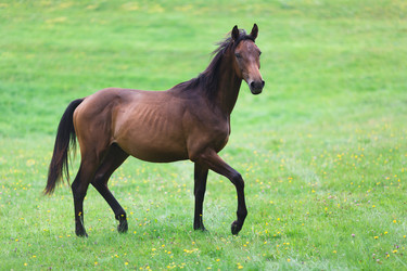 Similar image 8349214