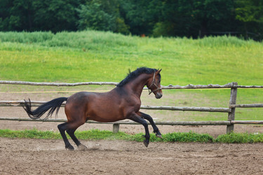 Similar image 8349215