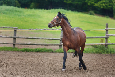 Similar image 8349216