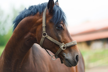 Similar image 8349218