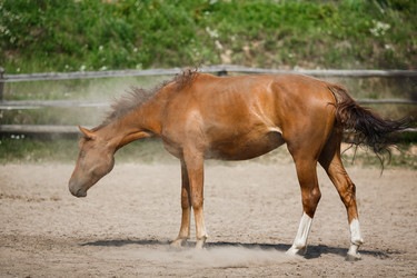 Similar image 8349219