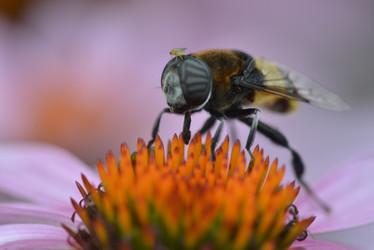 Similar image 8349253