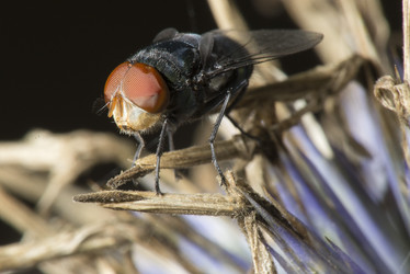 Similar image 8349261