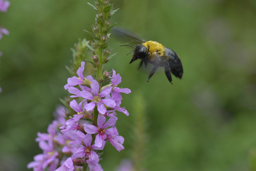 Similar image 8349263