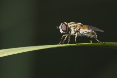 Similar image 8349264