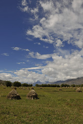 Similar image 8349265