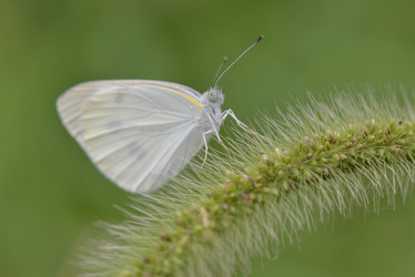 Similar image 8349266