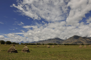 Similar image 8349267