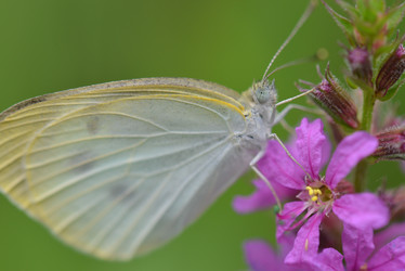 Similar image 8349268