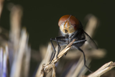 Similar image 8349275