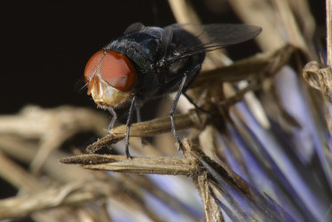 Similar image 8349277