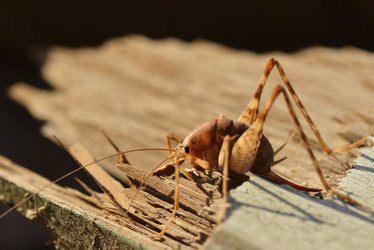 Similar image 8349279