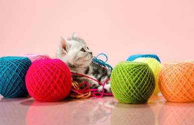 Similar image 8349285