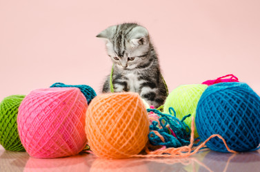 Similar image 8349287