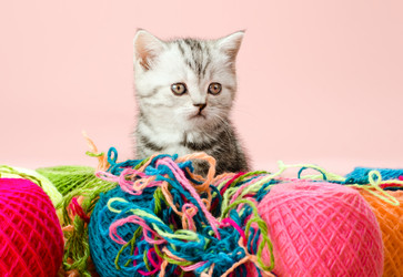 Similar image 8349288