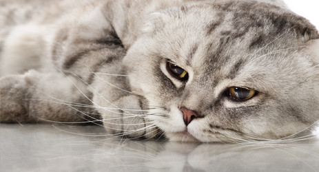 Similar image 8349290