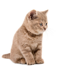 Similar image 8349296