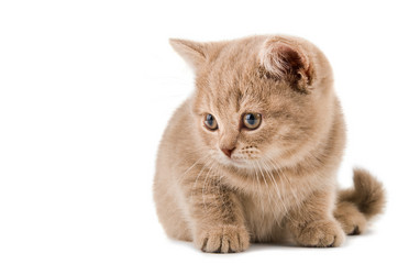 Similar image 8349346