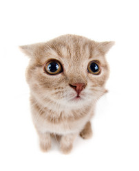 Similar image 8349405