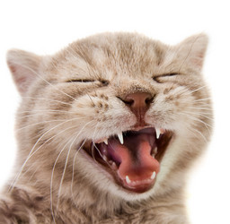 Similar image 8349408