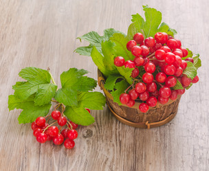 Similar image 8349471