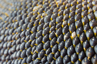 Similar image 8349535