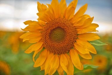 Similar image 8349624