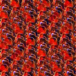 Similar image 8349762