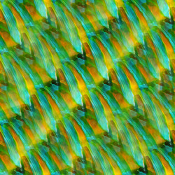 Similar image 8349769