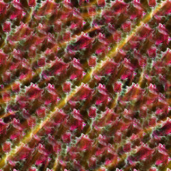 Similar image 8349784