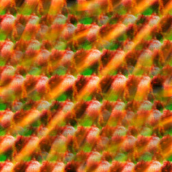 Similar image 8349788