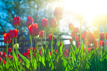 Similar image 8349984