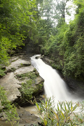 Similar image 8350125