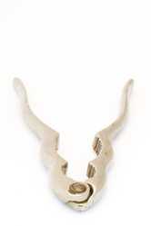 Similar image 8350128