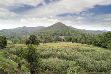 Similar image 8350133