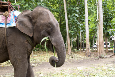 Similar image 8350164