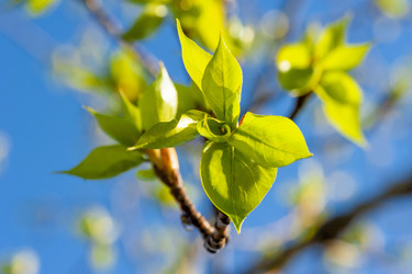 Similar image 8350447