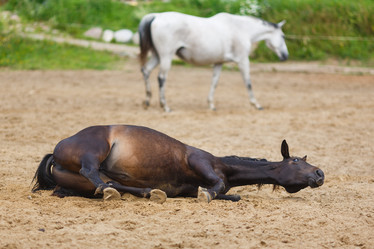 Similar image 8350458