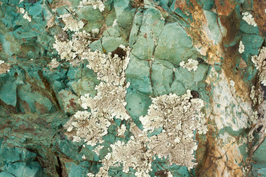 Similar image 8350484