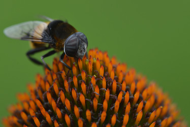 Similar image 8350494