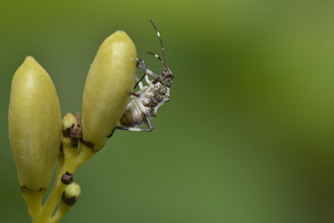 Similar image 8350496