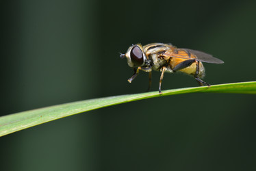 Similar image 8350502